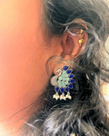 Manmohak Mayur - Blue